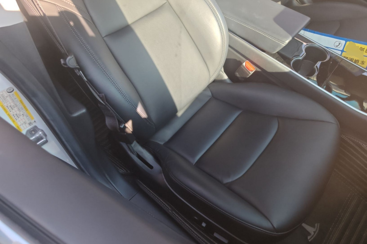 特斯拉 Model 3(进口) 2019 汽车图片 #25