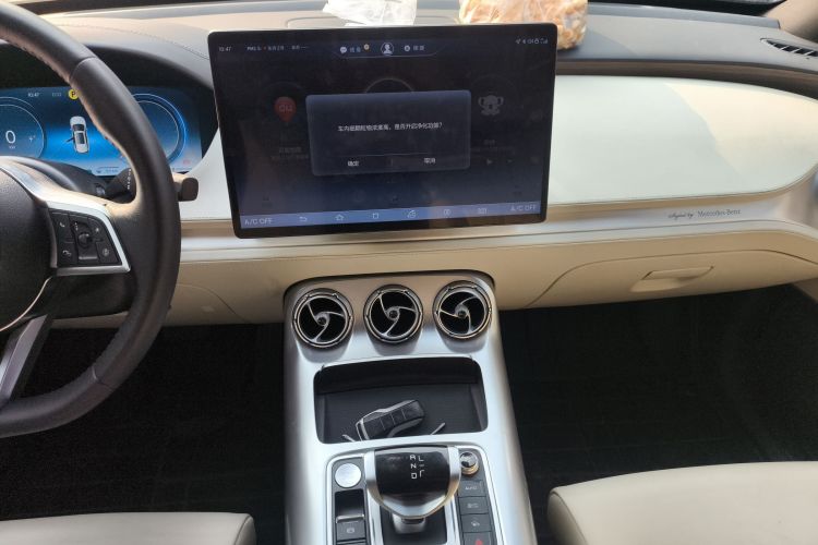 Denza X 2020 car image #25