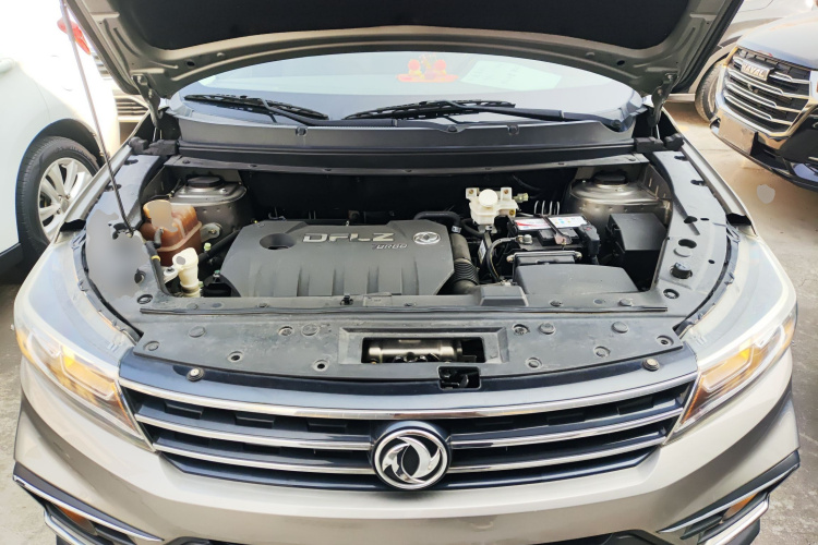 Forthing JOYEAR X5 2017 imagen de coche #25