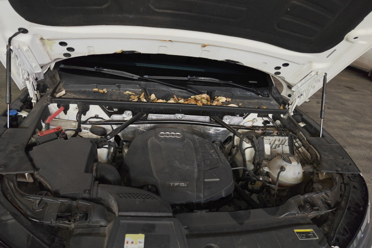 Audi Q5L Sportback 2021 #25 Audi Q5L Sportback 2021 immagine di auto #25