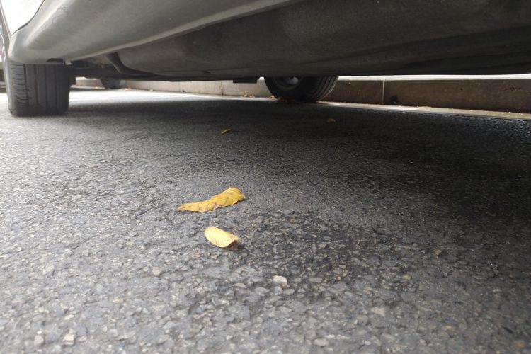 Honda XR-V 2015 #25 Honda XR-V 2015 car image #25