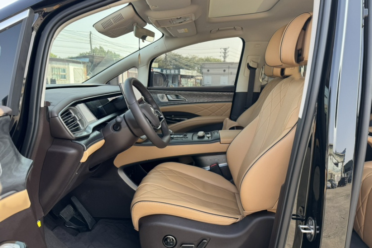 Denza D9 2025 car image #25