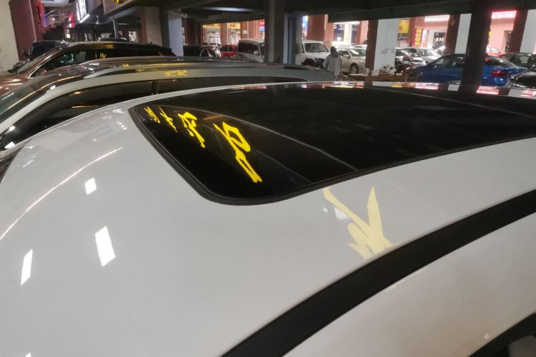 Dashing 2024 car image #25