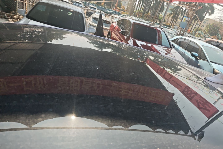 BYD Dolphin 2022 #25 BYD Dolphin 2022 car image #25