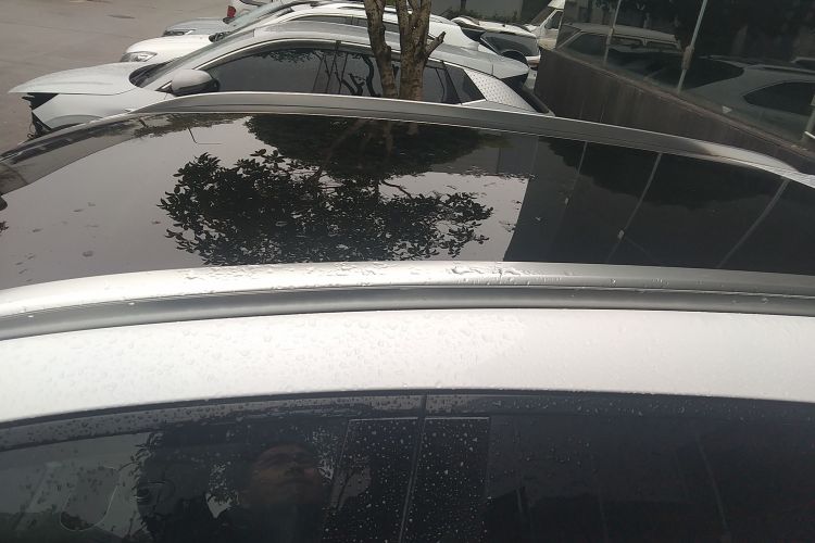 BYD Sea Lion 06 New Energy 2025 car image #25