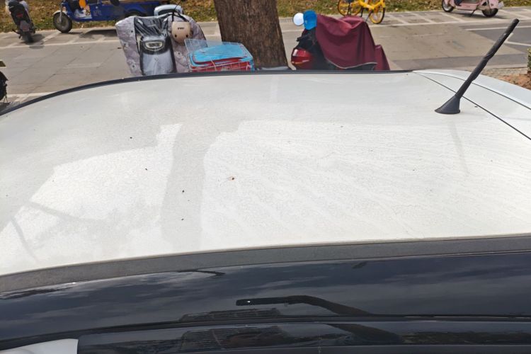 JAC 2018 #25 JAC 2018 car image #25