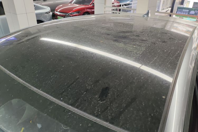 BYD Dolphin 2022 #25 BYD Dolphin 2022 car image #25