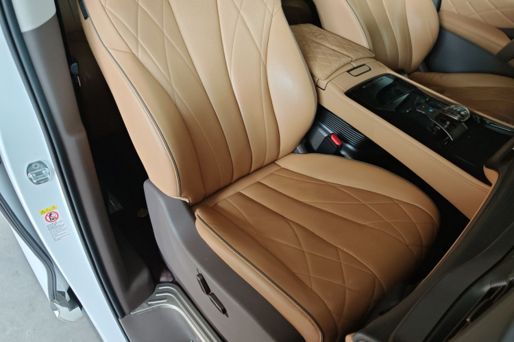 Denza D9 2023 imagem de carro #25