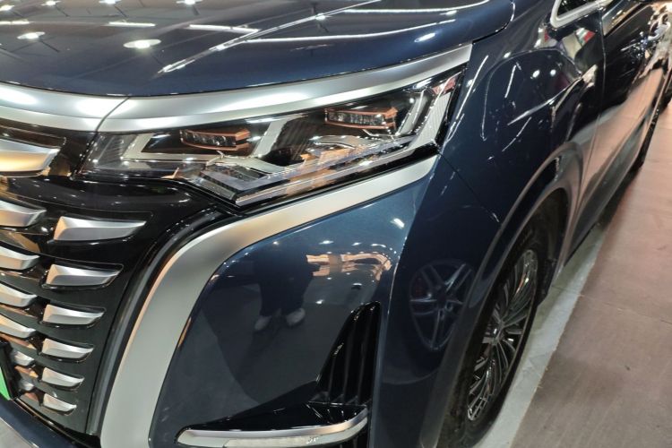 Denza D9 2023 imagen de coche #25