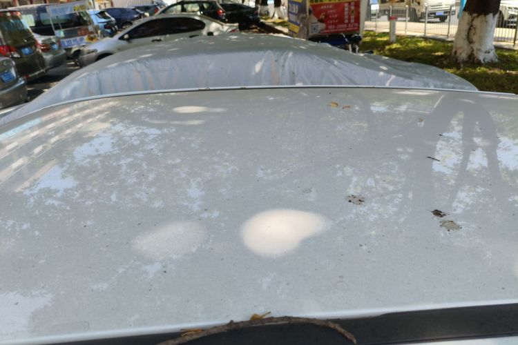 哪吒汽车 哪吒AYA 2024 汽车图片 #25