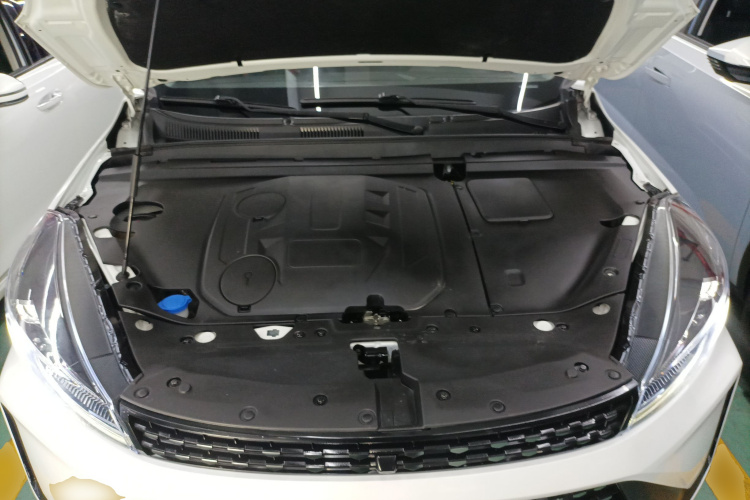 Showjet Pro 2021 car image #25