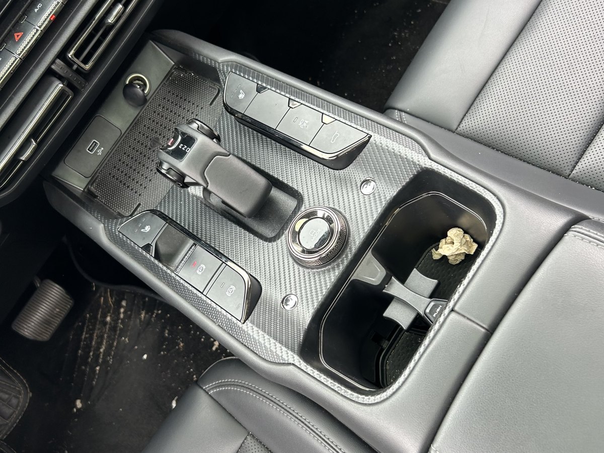 Haval X Dog 2 New Energy 2024 car image #25