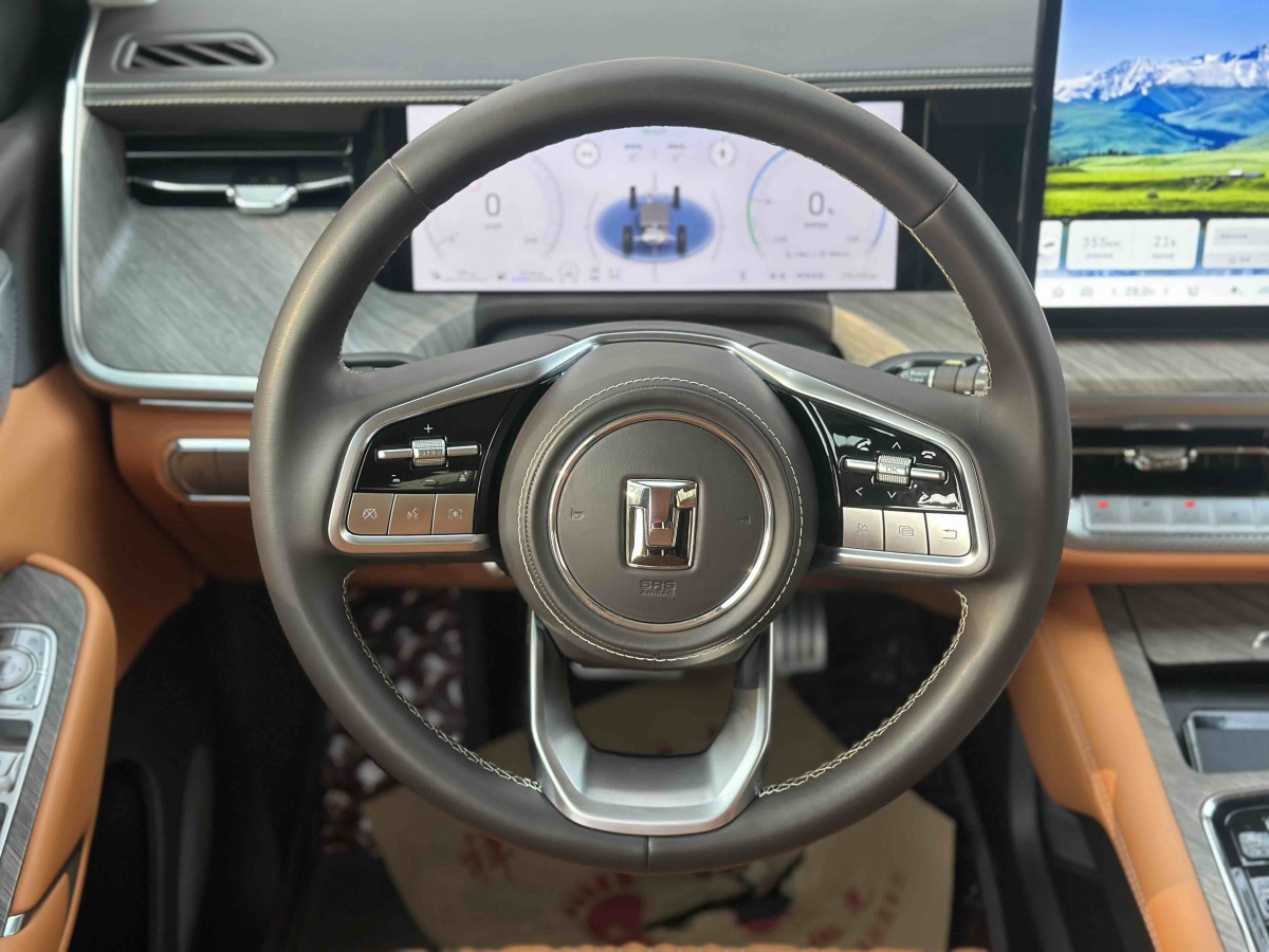 Tank 500 New Energy 2024 car image #25