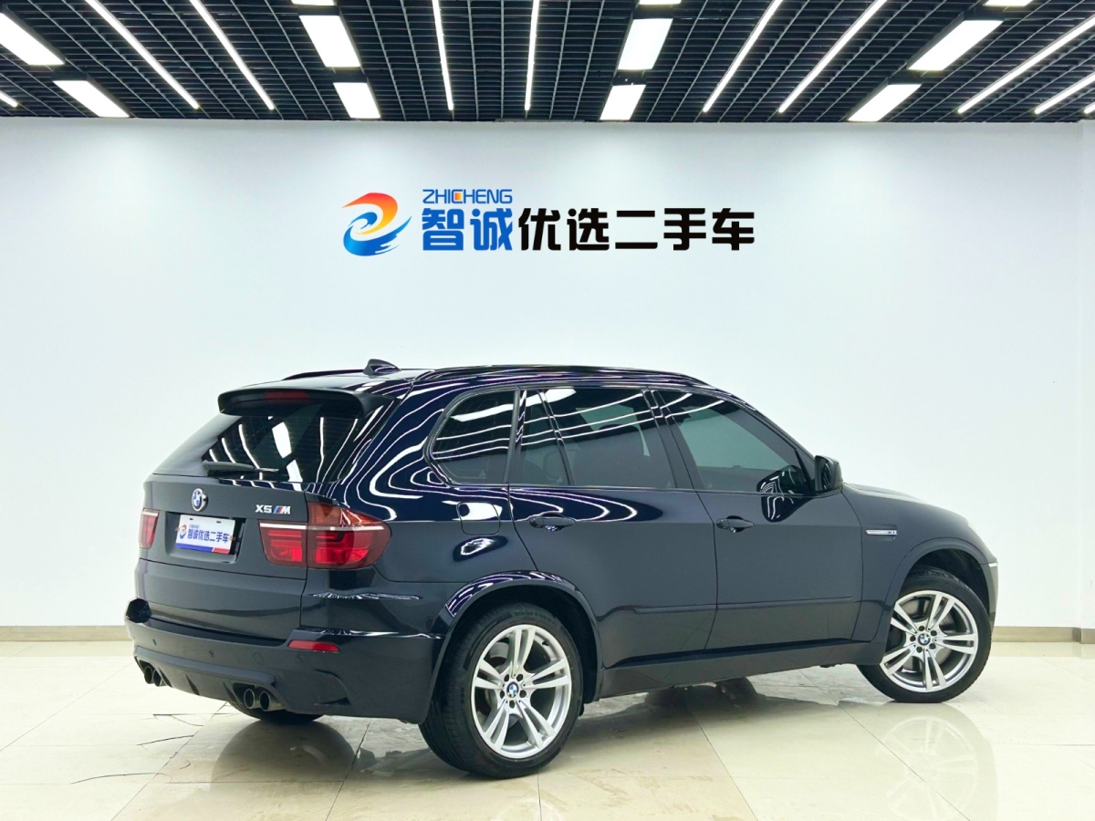 BMW X5 M 2010 car image #25