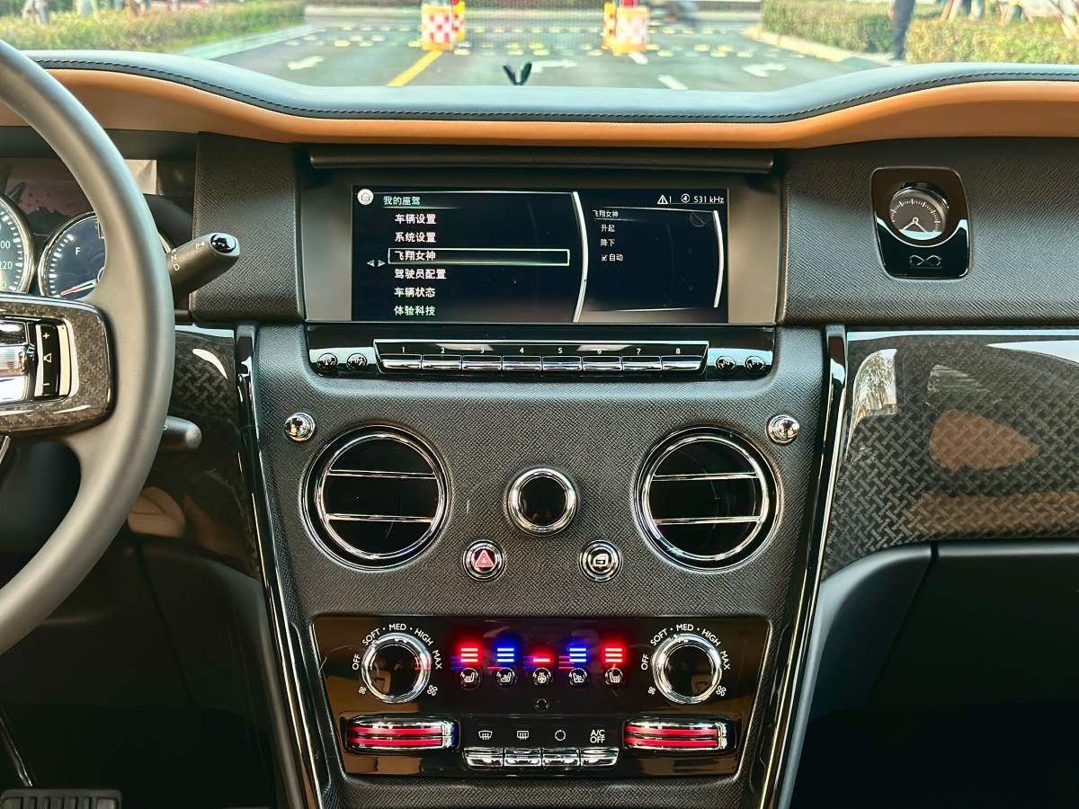 Rolls-Royce Cullinan 2022 immagine di auto #25