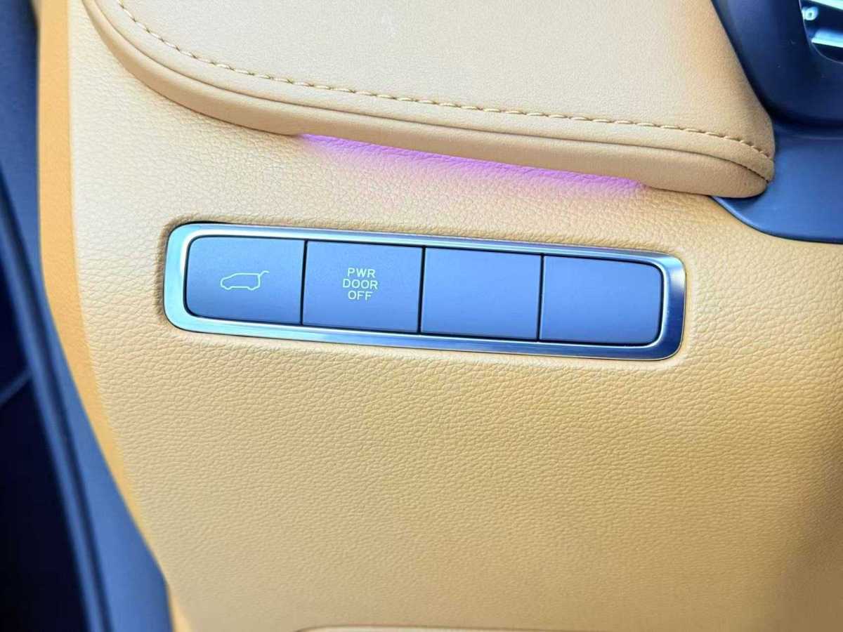 HongQi HQ9 2022 #25 HongQi HQ9 2022 car image #25