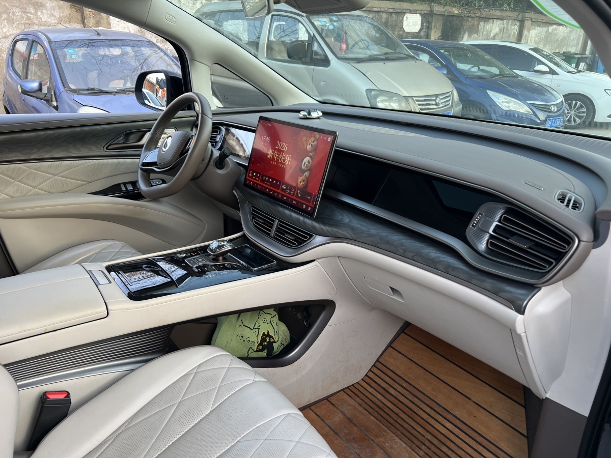 Denza D9 2023 image de voiture #25