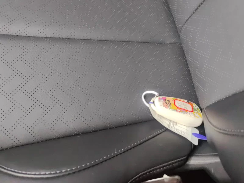 Changan CS55 Plus 2021 immagine di auto #25