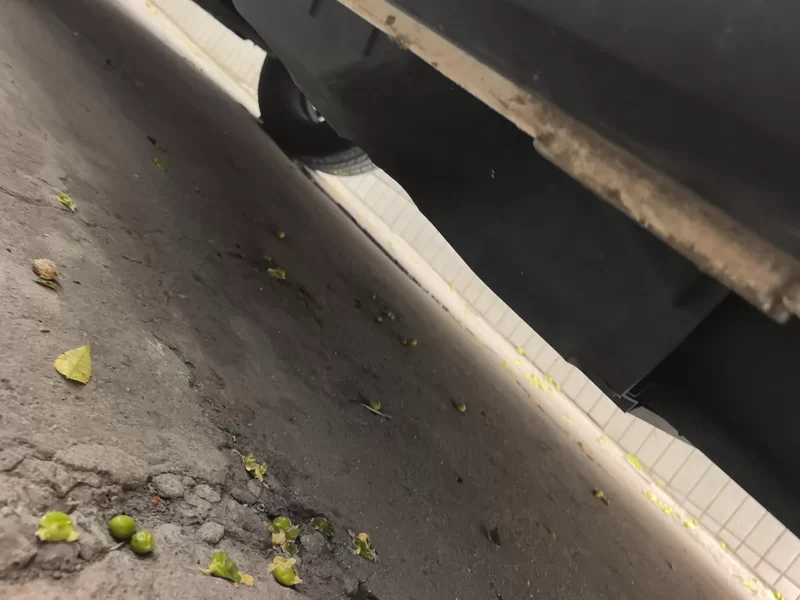 Haval F5 2018 car image #25