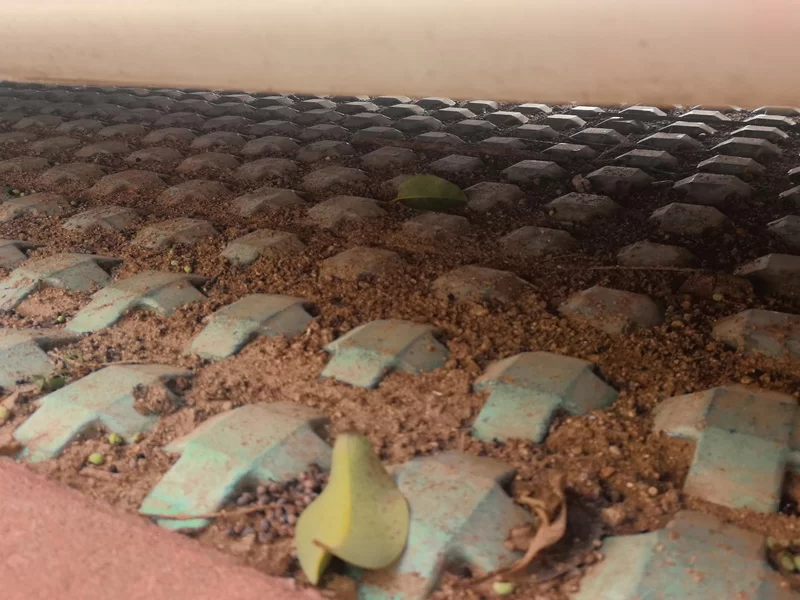 Honda Jade 2018 car image #25