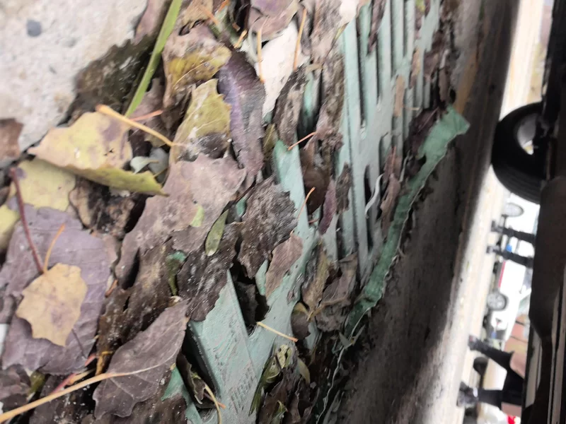 Changan CS55PLUS PHEV 2021 #25 Changan CS55PLUS PHEV 2021 immagine di auto #25