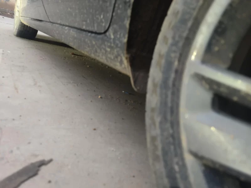 Volkswagen Lamando 2024 imagem de carro #25