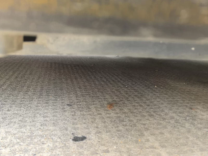 Mercedes-Benz E Class New Energy 2020 immagine di auto #25