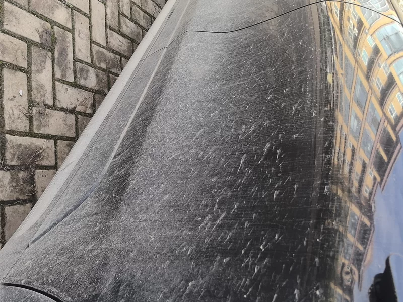 Ford Evos 2021 immagine di auto #25