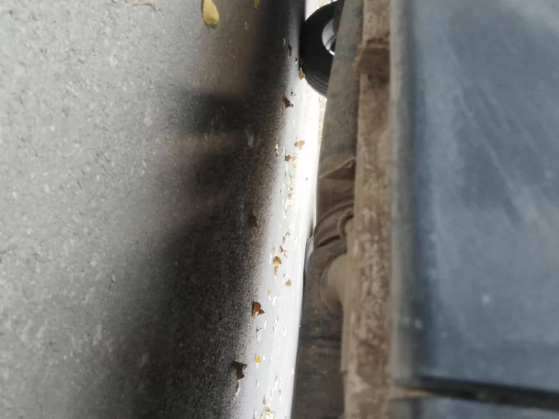 Changan CS75 PRO 2019 car image #25