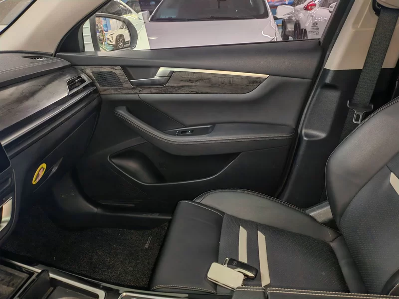 BYD Qin Pro 2020 car image #25