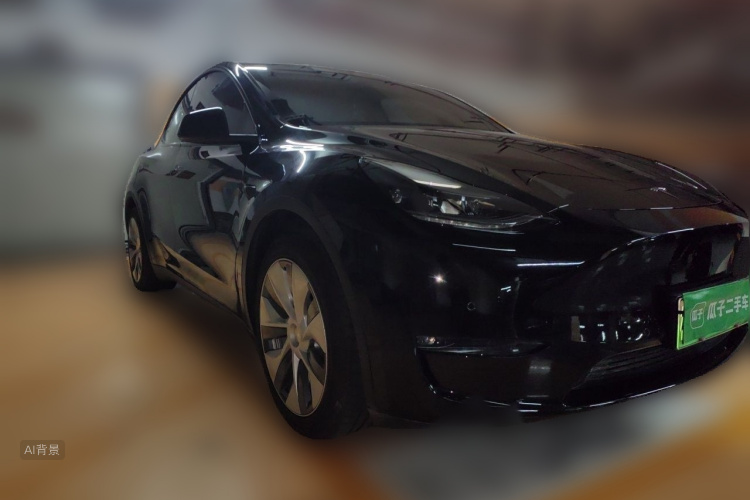 Tesla Model Y 2021 #4 Tesla Model Y 2021 صورة سيارة #4