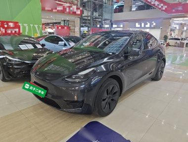 Tesla Model Y 2024 Tesla Model Y 2024 car image
