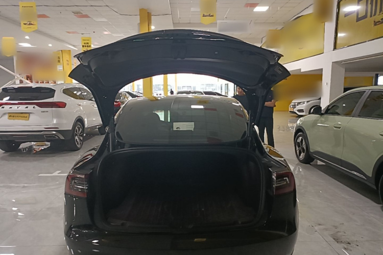 Tesla Model 3 2023 car image #19