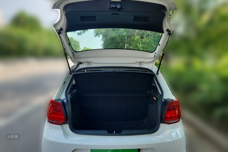 Volkswagen Polo 2018 car image #21