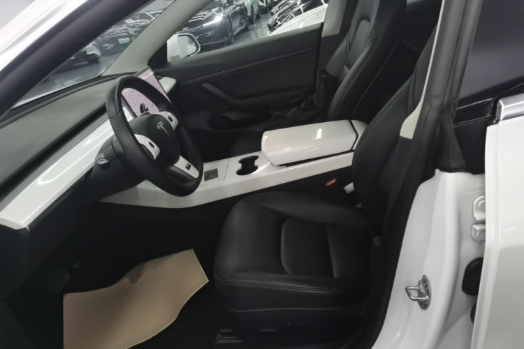 Tesla Model 3 2020 car image #15