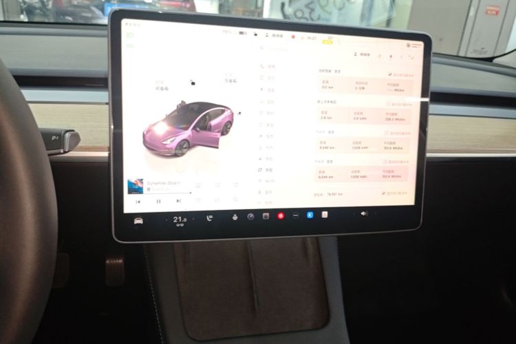 Tesla Model 3 2023 car image #13