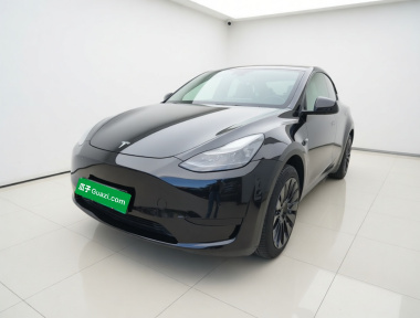 Tesla Model Y 2023 Tesla Model Y 2023 car image