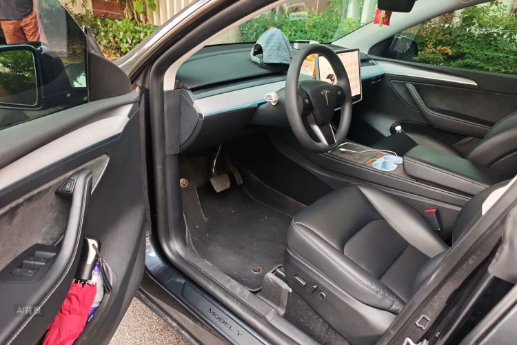 Tesla Model Y 2024 car image #18