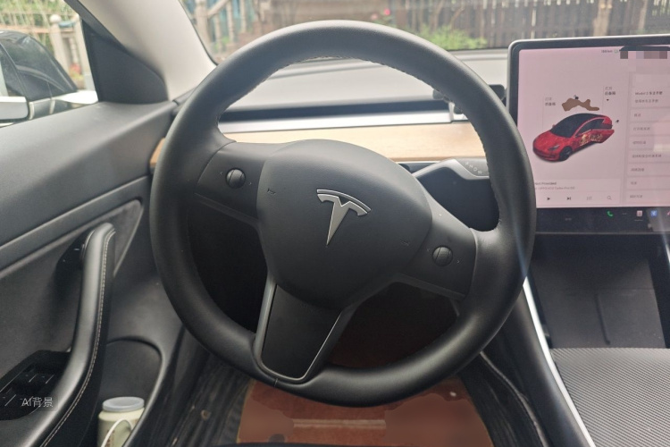 Tesla Model 3 2020 car image #12