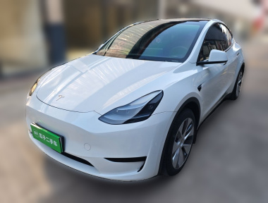 Tesla Model Y 2022 Tesla Model Y 2022 car image