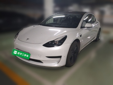 Tesla Model 3 2021 Tesla Model 3 2021 car image