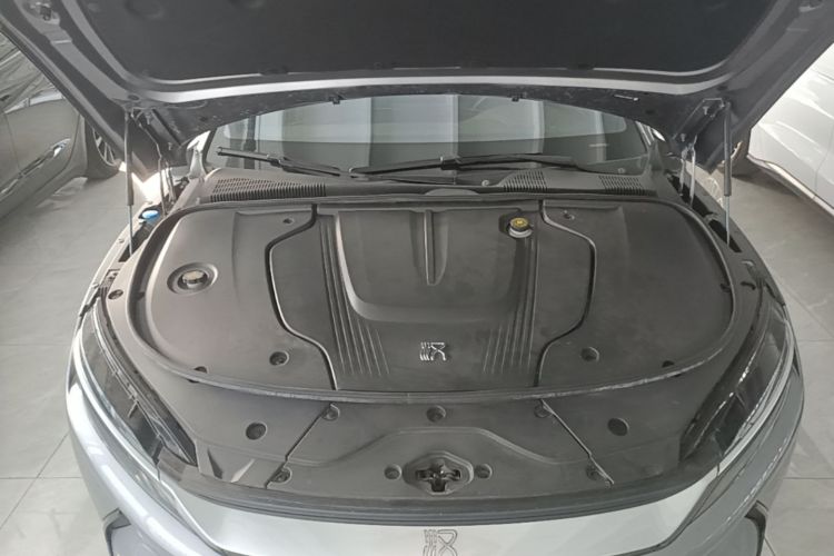BYD Han 2020 car image #20