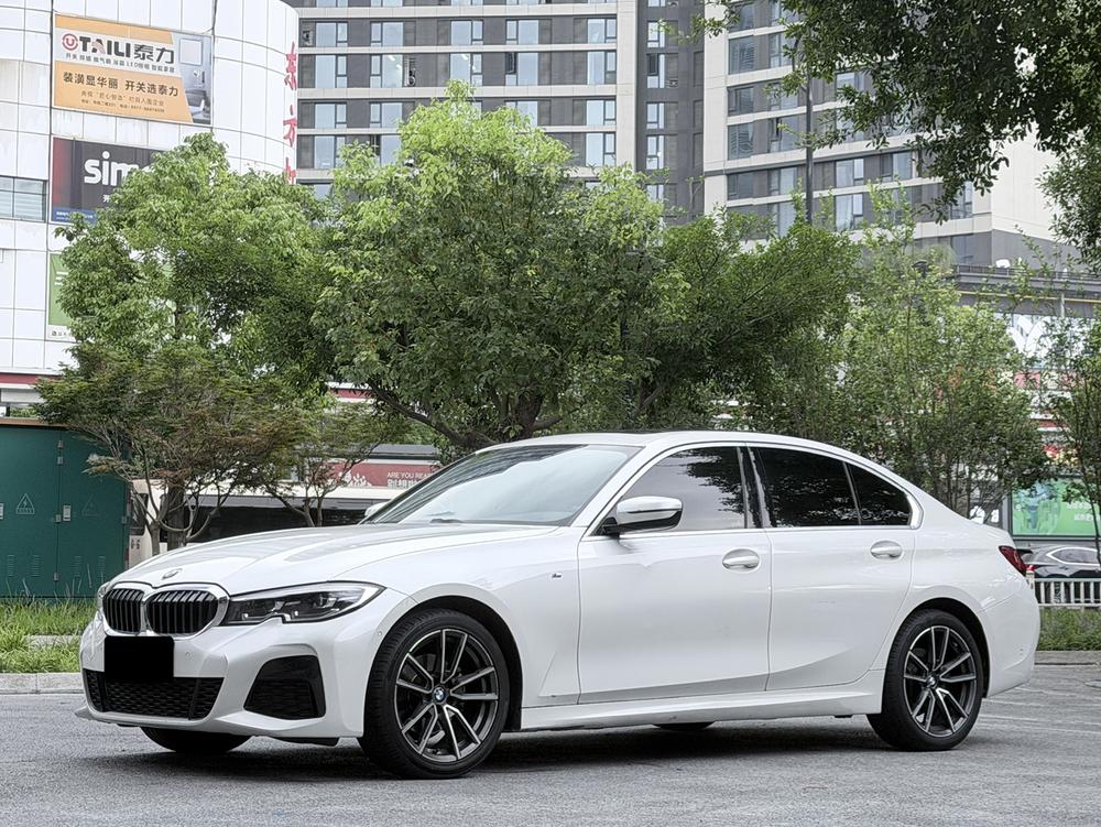 BMW 3 Series 2019 BMW 3 Series 2019 immagine di auto