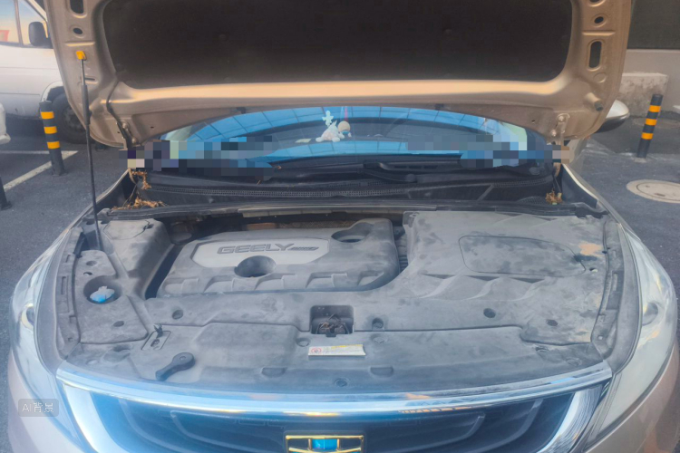 GEELY Emgrand GS 2016 immagine di auto #22
