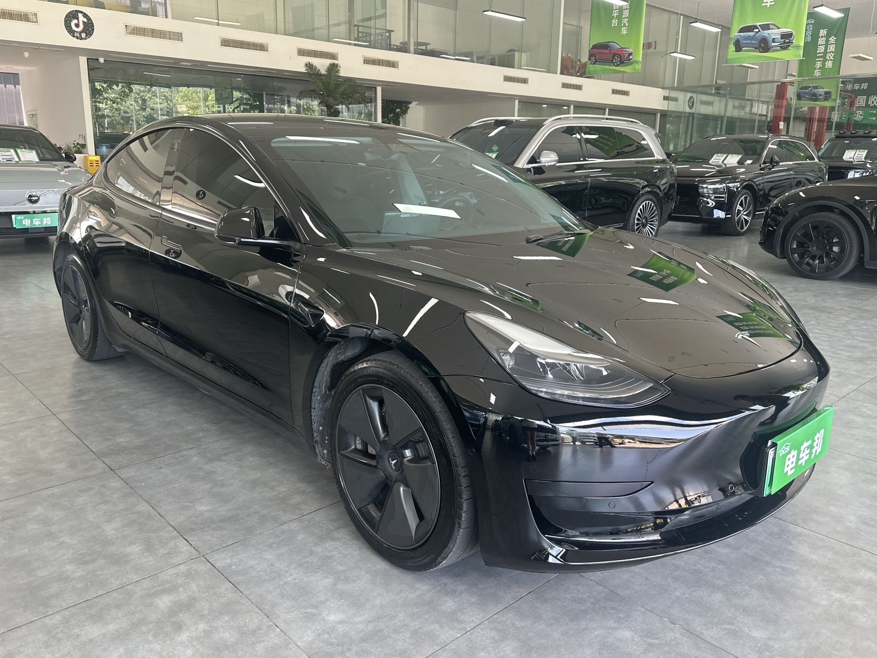 Tesla Model 3 2021 #3 Tesla Model 3 2021 car image #3