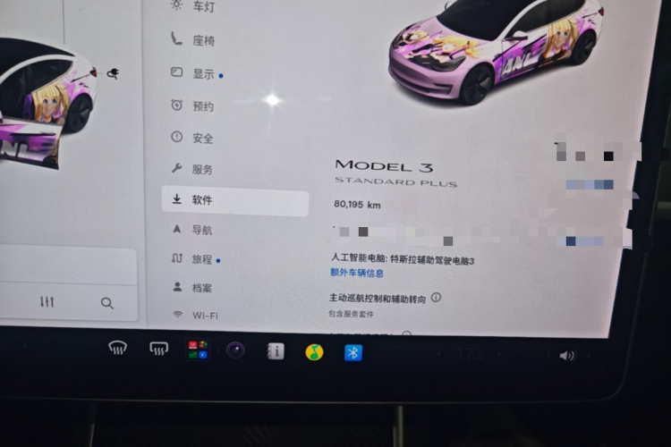 Tesla Model 3 2020 car image #16