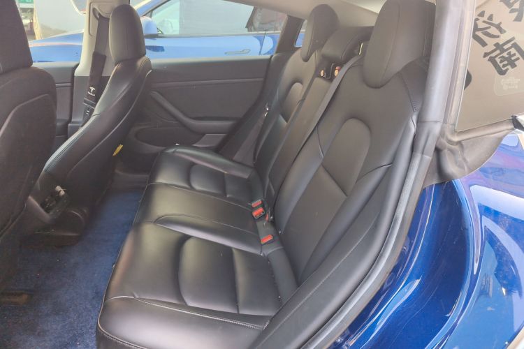 Tesla Model 3 2020 #17 Tesla Model 3 2020 car image #17