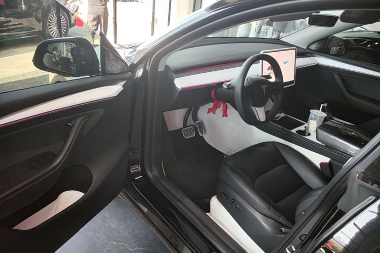 Tesla Model Y 2024 car image #16