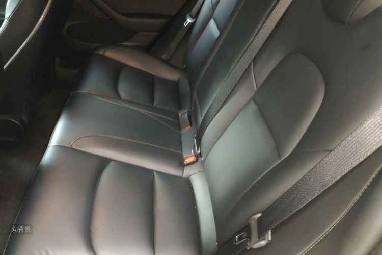 Tesla Model 3 2021 #19 Tesla Model 3 2021 car image #19
