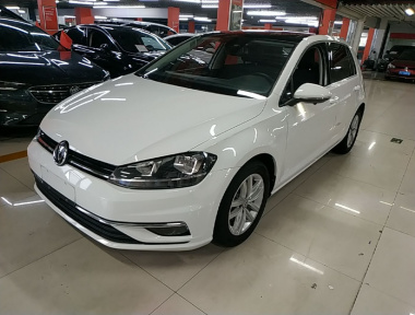 Volkswagen Golf 2019 Volkswagen Golf 2019 car image